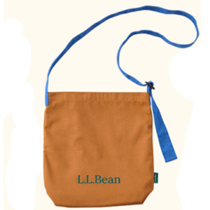 いぬのきもち6月号　LLBeanショルダーバッグ